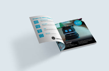 Lionsbot brochure